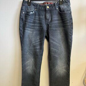 🚨CLEARANCE 0124-94 STANDARDS & Practice Dress Jean